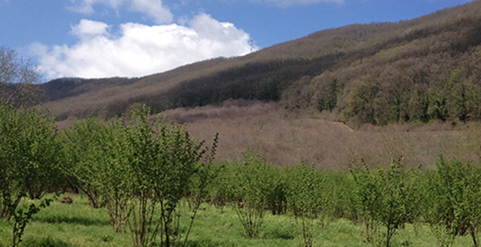 LAZ ESC post photo2 680 width