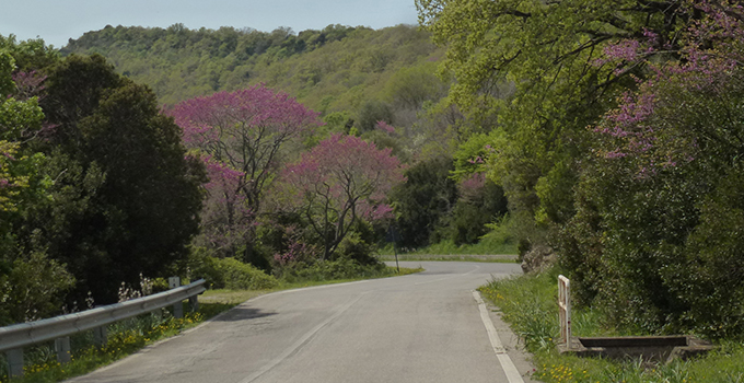 LAZ ESC post photo5 680 width