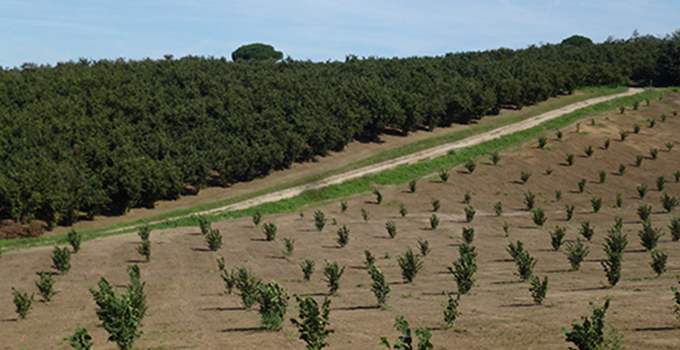 LAZ ESC post photo6 680 width